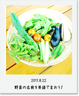 2011.8.22 野菜の名前を英語で言おう！